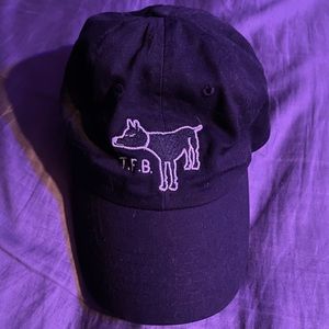 the front bottoms dog hat